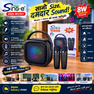 SING-e ZQS-W3101 8W Mini Speaker